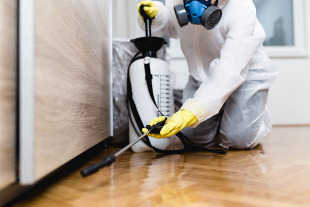 Best Best Pest Control Companies  in Bolivar, MO