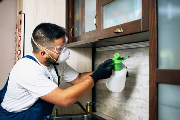 Pest Prevention Services in Bolivar, MO
