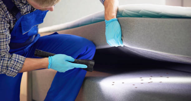 Best Bed Bug Extermination  in Bolivar, MO