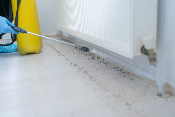 Best Best Pest Control Companies  in Bolivar, MO